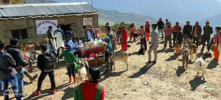 १ दिने पशु स्वास्थ्य सिबिर कार्यक्रम राष्कोटमा सम्पन्न